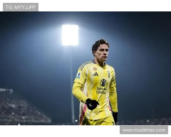 伊尔迪兹新星崛起 伊尔迪兹新星崛起